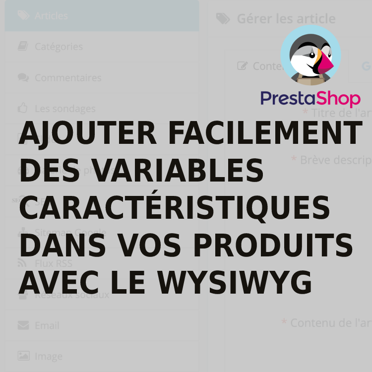 Comment ajouter des variables caractéristiques dans produit avec l'éditeur WYSIWYG