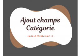 Prestashop 1.7.8.7 - Ajouter un champ supplémentaire sur page catégorie